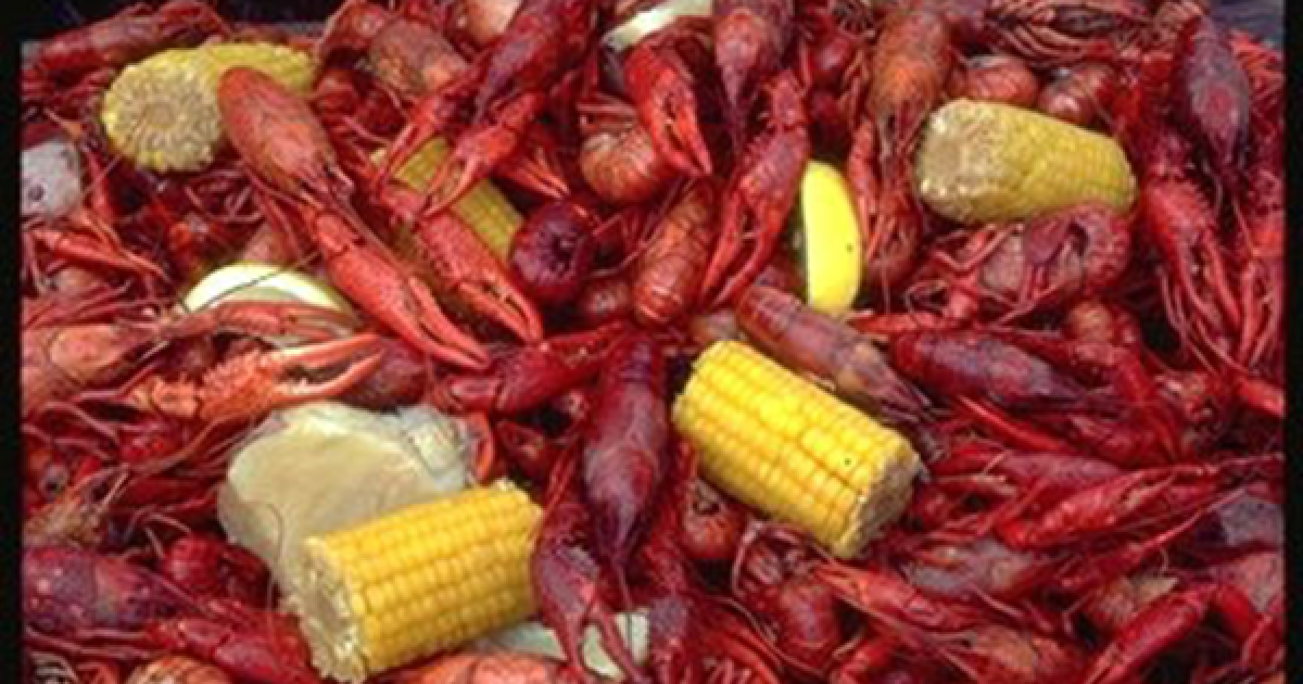 Crawfish season in Texas slow — but steady