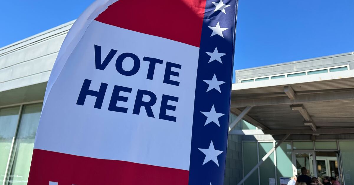 Unofficial results show Collin County Democrats see record primary turnout
