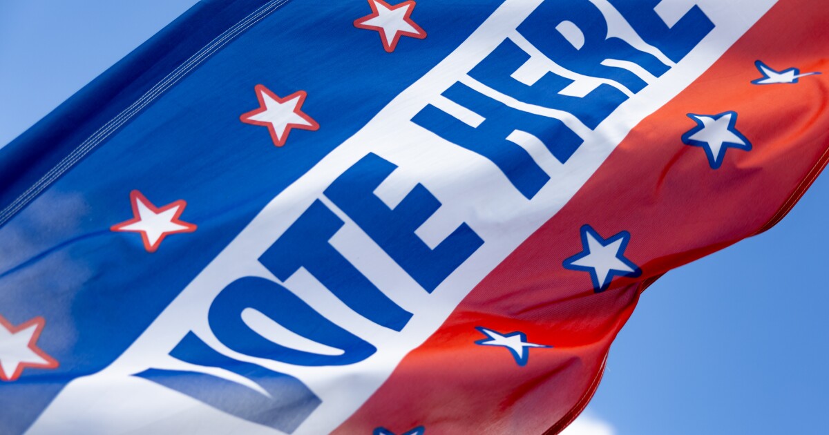 Democratic turnout surges in Texas as over 4.4 million vote in party primaries