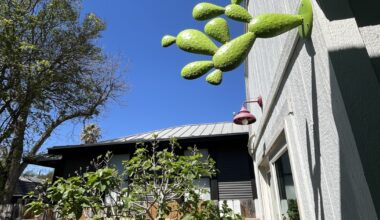 Artist invites a fresh perspective on the San Antonio River