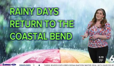 Disrespectful winds, warm temps, and the return of rain!