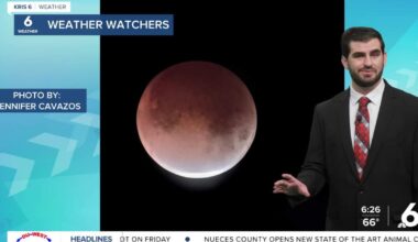 Partly cloudy skies, breezy afternoons, and above average temperatures this week