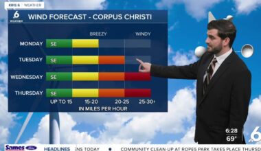 Partly cloudy skies and windy afternoons to kick off the first week of March