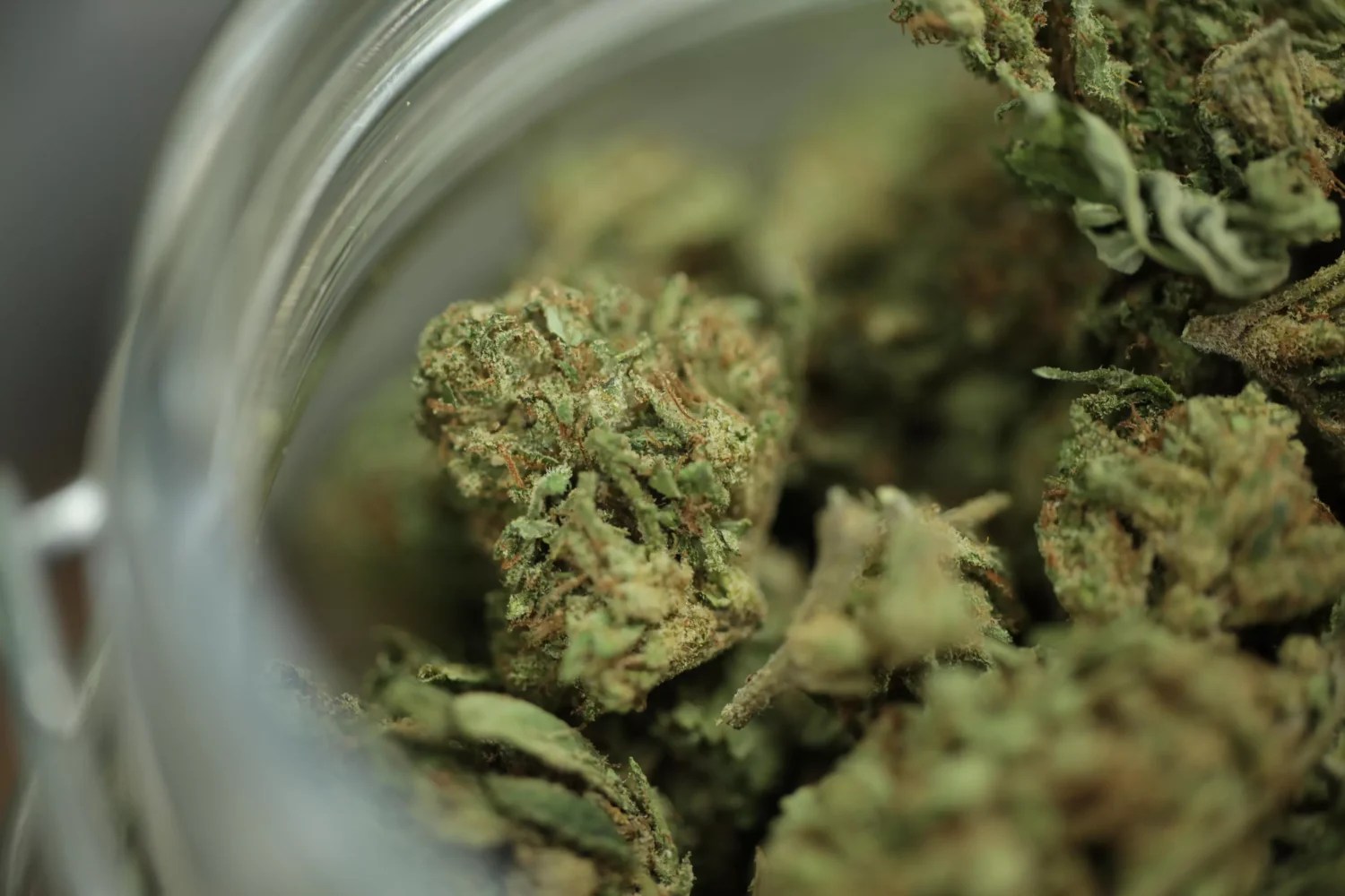 marijuana buds in a glass jar