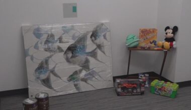 Aransas County Courthouse launches new 'soft room' for survivors during trial