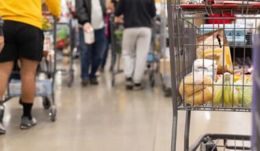 Texas Expected to Pay $700 Million in Penalties for SNAP Errors