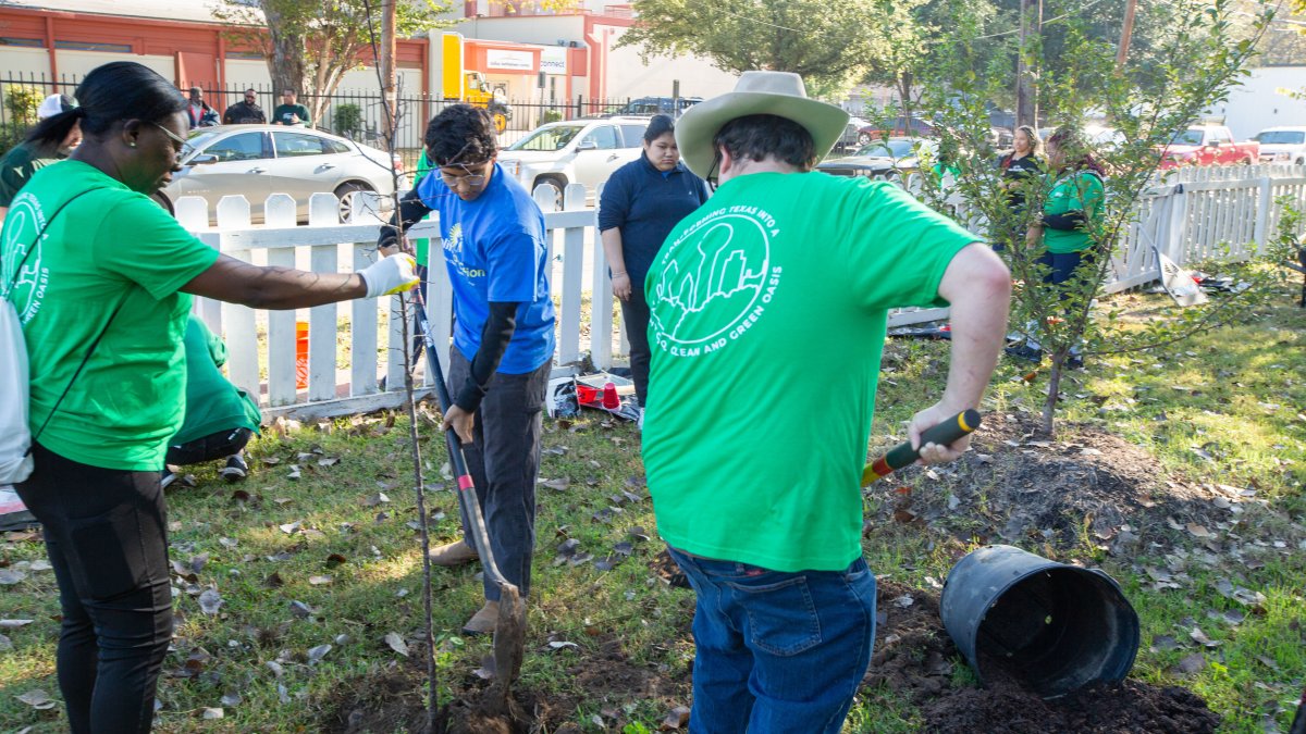 Earth Day festival of service brings students together in Dallas – NBC 5 Dallas-Fort Worth