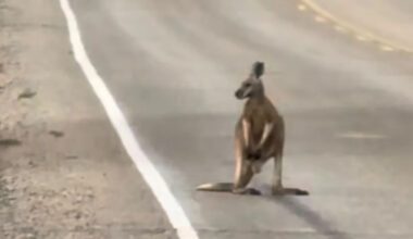 Yahoo lifestyle home