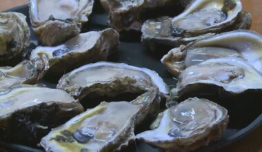 Texas Parks and Wildlife closes oyster harvesting area in Galveston Bay