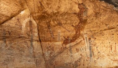 Plan to build border wall along the Rio Grande in Texas threatens prehistoric rock art, locals warn - The Art Newspaper