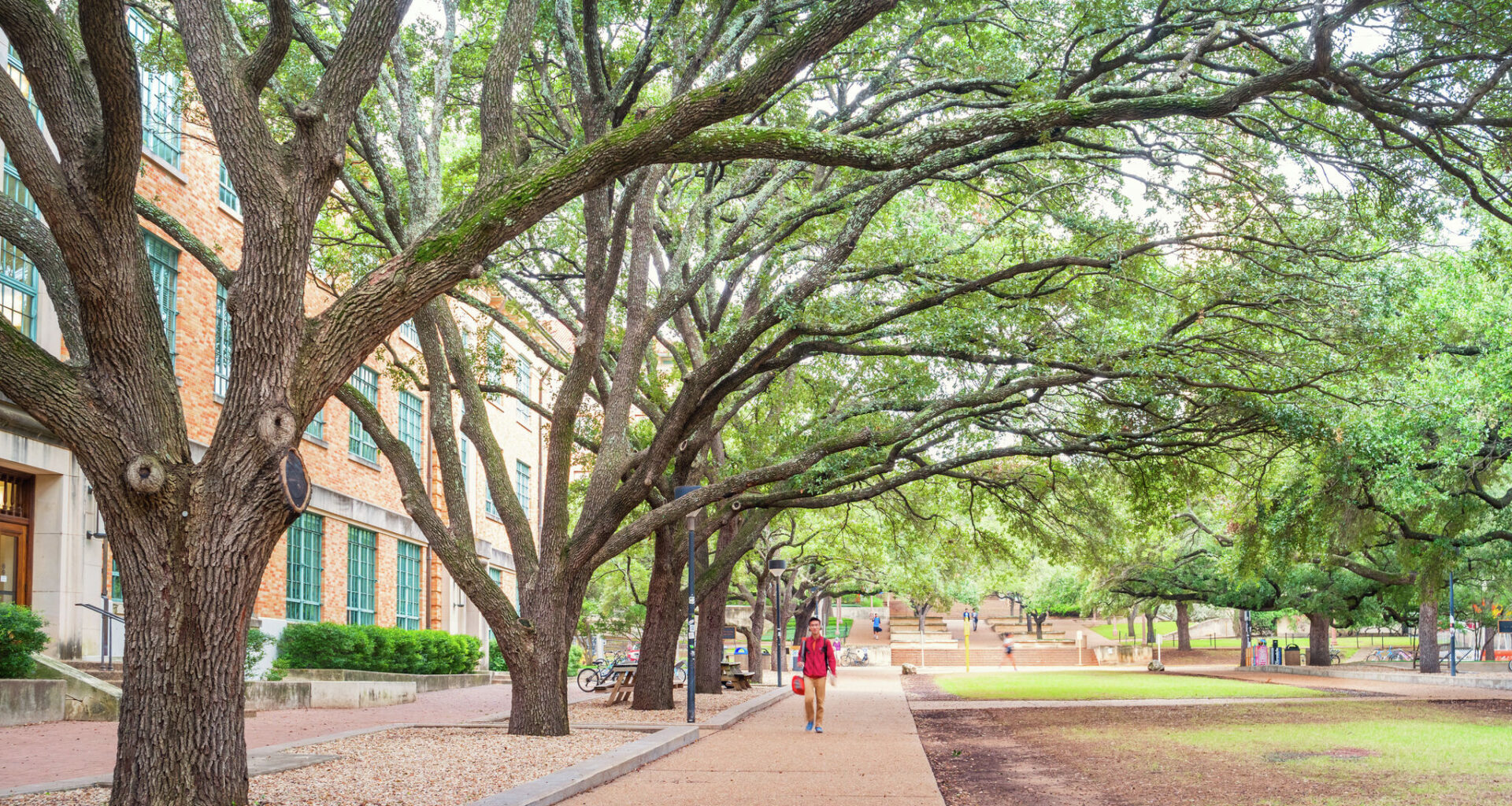 How to avoid losing college credits when transferring in Texas