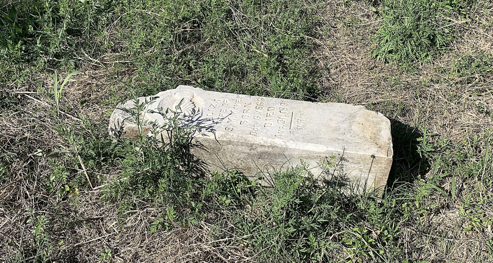 Developer wants townhomes atop historic Dallas cemetery