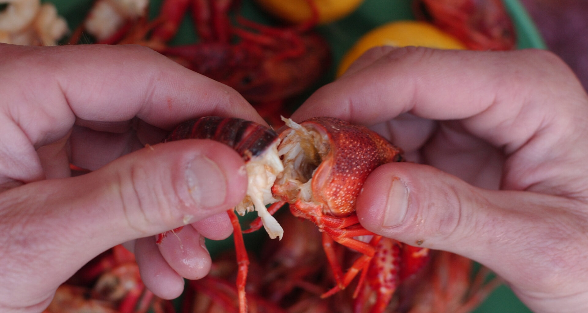 Cajun seafood restaurant shutters Houston suburb location