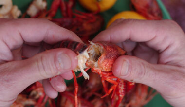 Cajun seafood restaurant shutters Houston suburb location