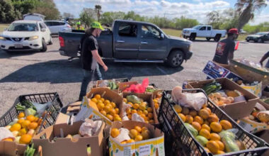 SNAP benefit restrictions officially take effect in Texas; what recipients can and cannot buy