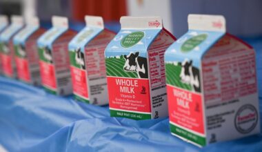 Health officials examining case of expired milk at S.A. middle school