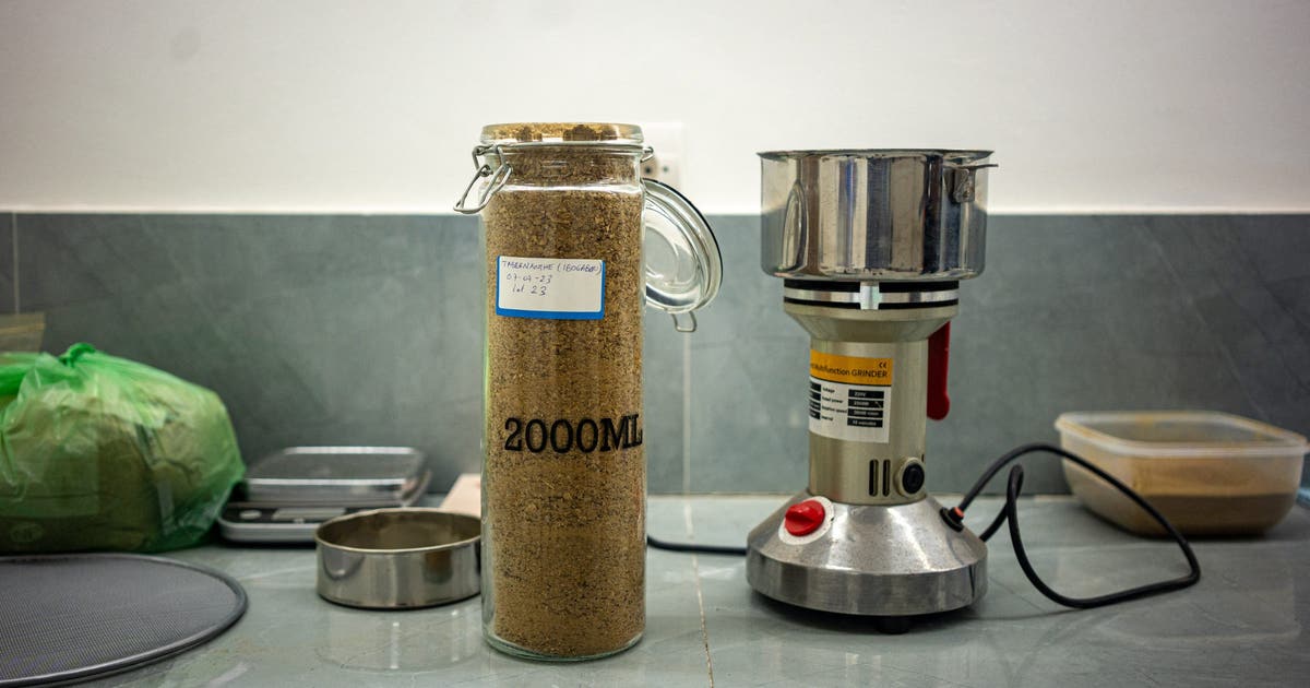 Texas to launch independent study into psychedelic ibogaine