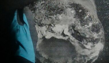 Danish warship sunk by Nelson's British fleet discovered after 225 years