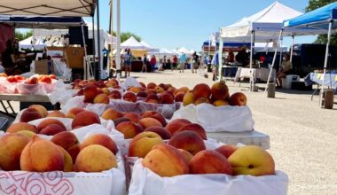 3 outings under $40 in April 2026