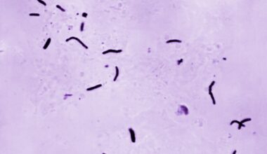 Morgan Lindholm plays saloon manager Maddie on the "Yellowstone" spin-off, "Marshals."