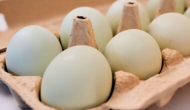 Eggs for Easter cost much less in the US than last year. A look at the numbers