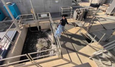 What happens after you flush? Inside one of San Antonio’s largest wastewater treatment plants