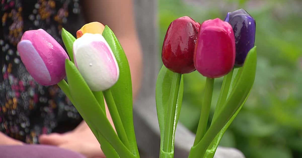 FIFA World Cup: Dallas Arboretum pays tribute to Dutch team with flower displays