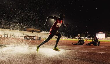 University of Texas Logo