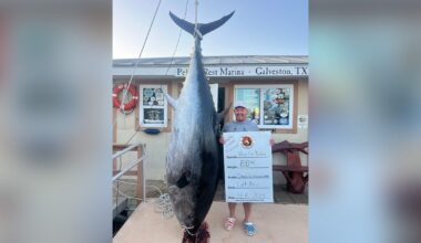 Houston man sets state record with 884-pound Blue Fin Tuna catch