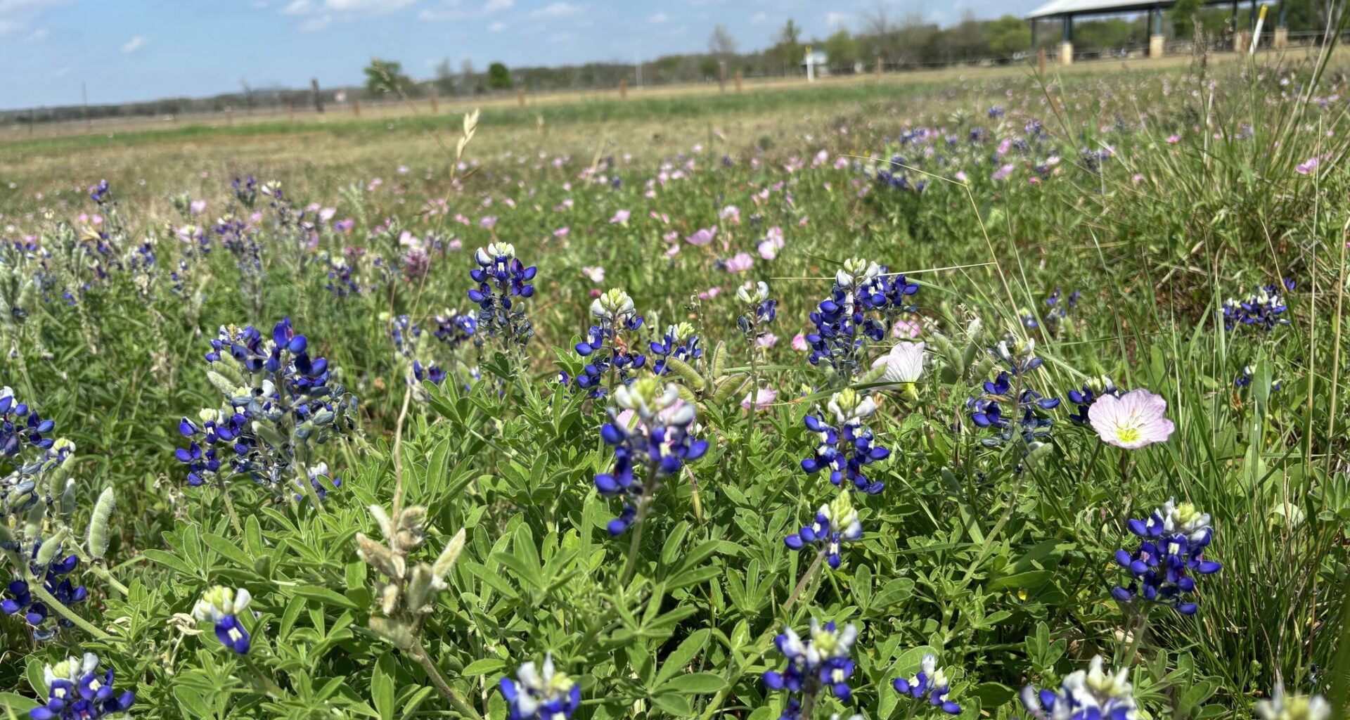 Texas Hill Country town near San Antonio is full of surprises