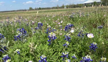 Texas Hill Country town near San Antonio is full of surprises