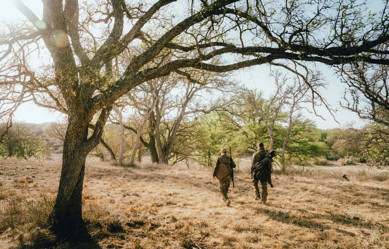 Two men walk in a scrubby landscape
