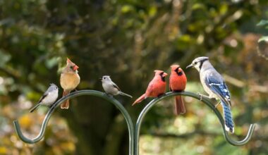 Birds, Blooms and Biodiversity: Join the World Cup Nature Challenge