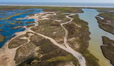 TPWD awards $3M for gulf coast shoreline protection and habitat restoration