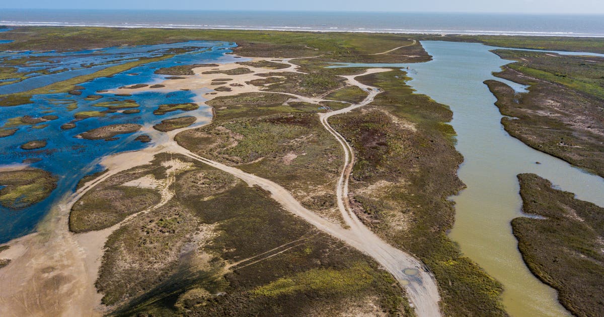 TPWD awards $3M for gulf coast shoreline protection and habitat restoration