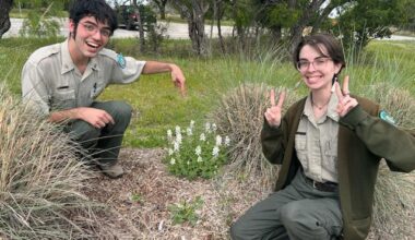 Rare wildflower spotted at Texas park