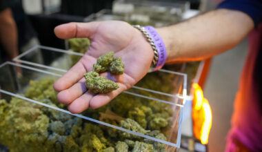 Texas hemp industry races to court as ban takes effect