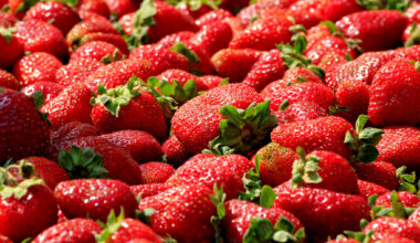 Where to pick strawberries near Austin in 2026