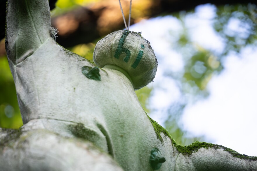 A sculpture titled “Hi Doll” by artist Magdalena Riley is pictured on Friday, August. 22, 2025 on the Barton Creek Greenbelt. Michael Minasi / KUT News