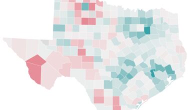See counties with the most 2025 population growth