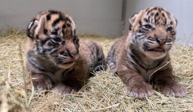 Texas House Speaker Dustin Burrows, a Lubbock Republican.