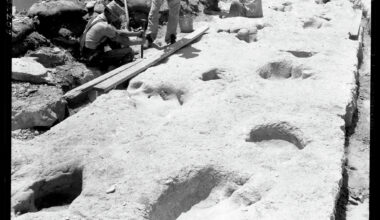 Historic Texas dinosaur tracks part of $10M UT museum project