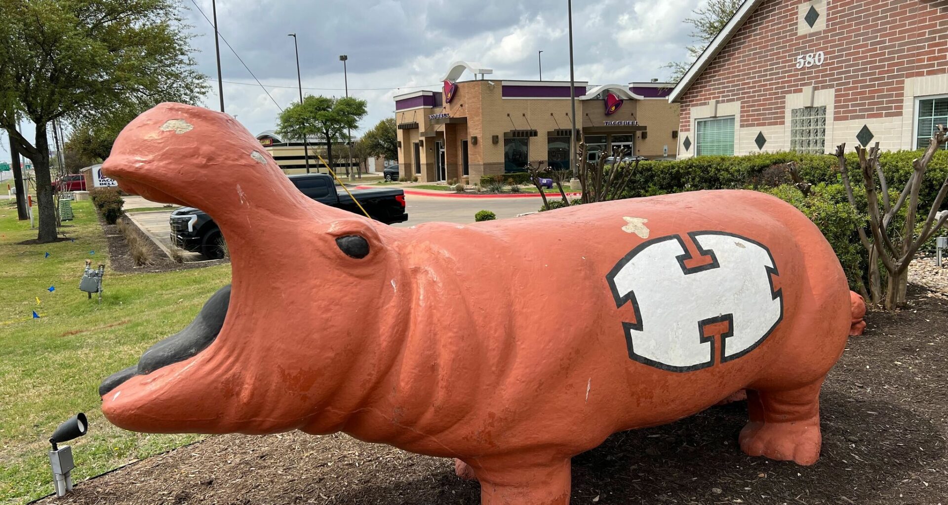 Texas residents rally against proposed data center