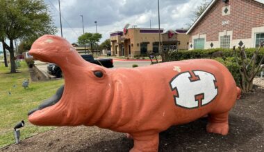 Texas residents rally against proposed data center