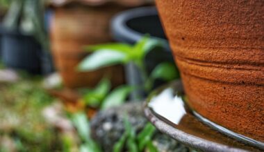 Fight the Bite: Simple Steps to Stop Mosquitoes Before They Start