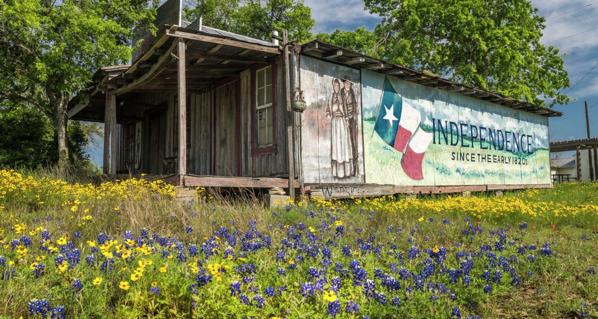 Texas Hill Country is top US spot for wildflower season