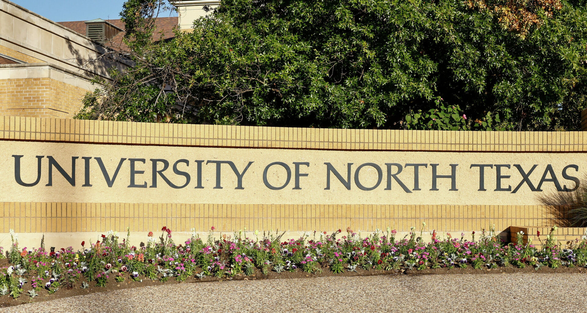 Paxton probing UNT after hidden-camera video about DEI in classrooms