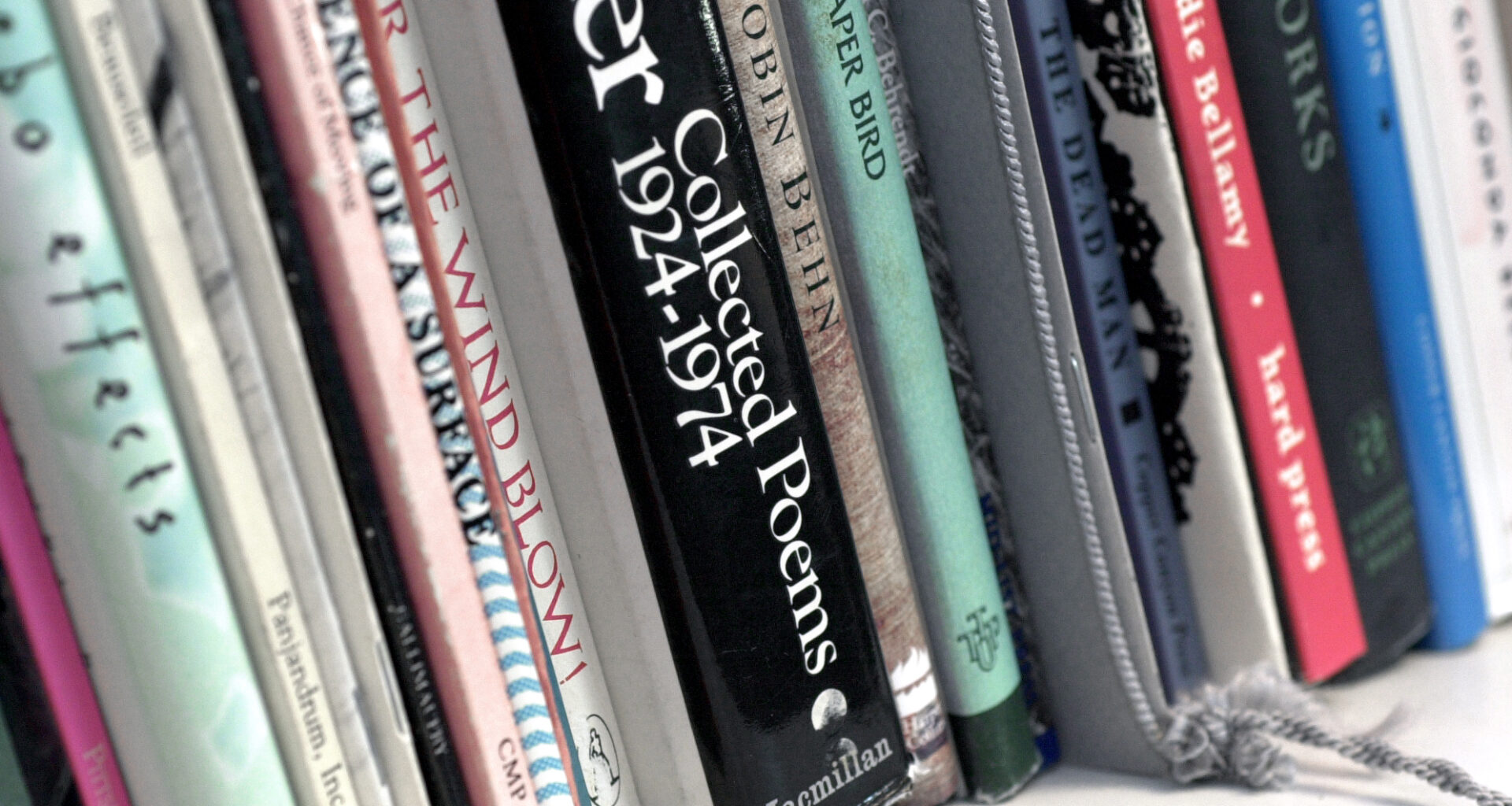 Palo Alto College celebrates poets exploring identity