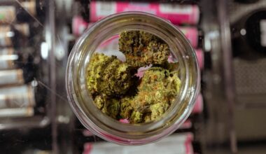 Judge rules to temporarily block Texas’ smokeable hemp ban