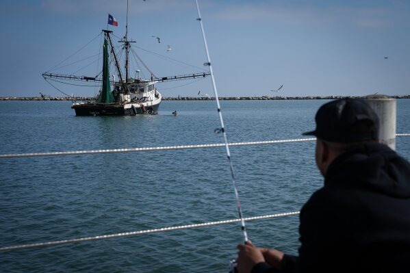 A fishing boat works just offshore in the Corpus Christi Bay on Thursday, Nov. 16, 2023, in Corpus Christi, Texas. (Jon Shapley/Houston Chronicle via AP)